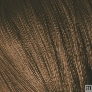 SCHWARZKOPF PROFESSIONAL 6-00 краска для волос Темный русый натуральный экс