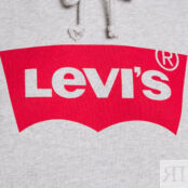 Толстовка Levi's Graphic Standard, серый LE221J04P-C13 фото 2