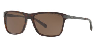 Солнцезащитные очки мужские Ralph Lauren 8155 5003/73