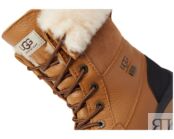 Ботинки Adirondack Boot III UGG, каштан 9075913 | Chestnut фото 3