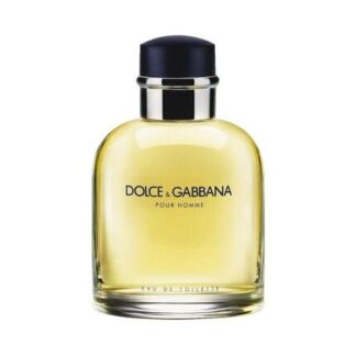 Туалетная вода для мужчин Dolce & Gabbana Pour Homme 200 мл