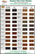 Radico Органическая краска для волос Темно-коричневый 100 г