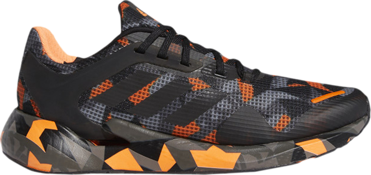 Кроссовки Adidas Alphatorsion 360 'Dazzle Camo Print', черный FW9269 | Black фото 1