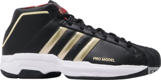 Кроссовки Adidas Pro Model 2G 'Forbidden City', черный