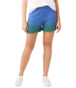 Шорты Alternative, Washed Terry Shorts 9520161 | Blue/Green Dip-Dye фото 1